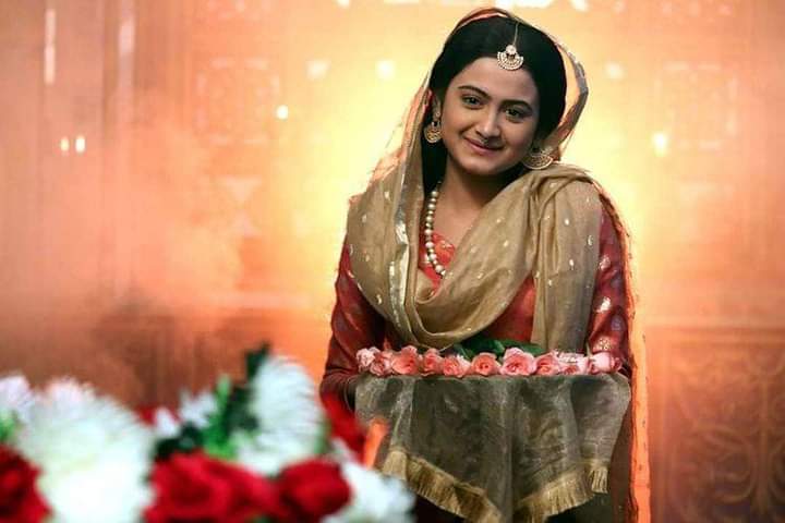 Ami Sirajer Begam, Pallavi Dey, Suicide case Pallavi Dey