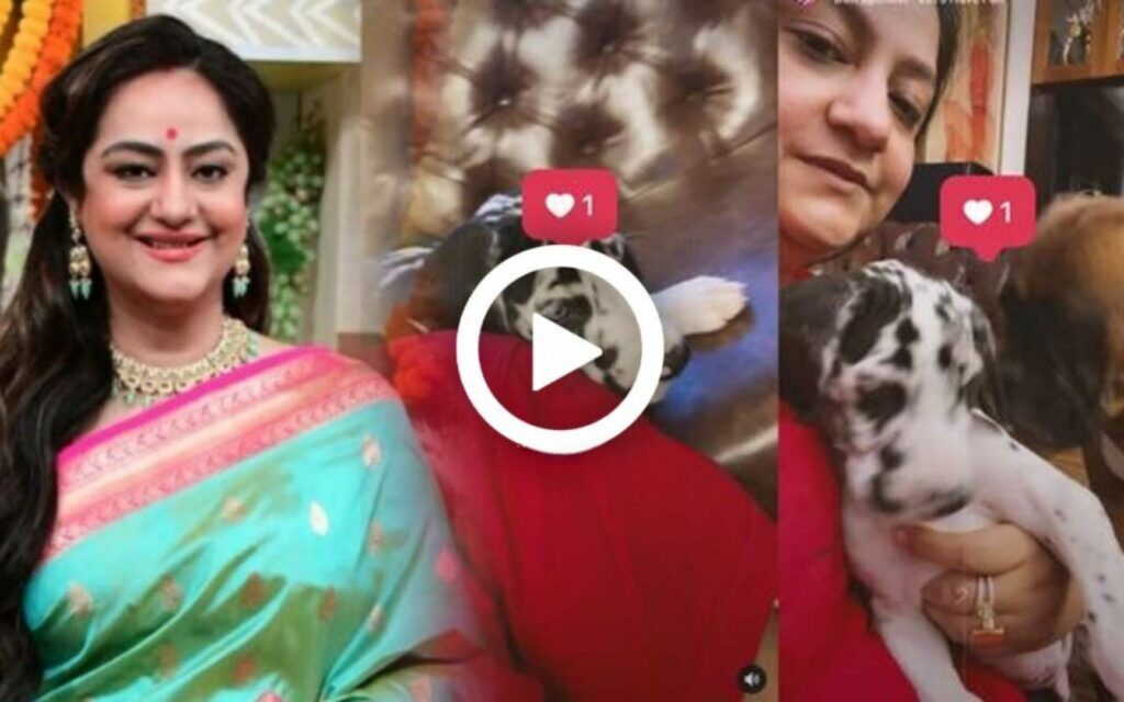 foreign dog, Indian dog breed, puppy adoption, sudipa chatterjee, Tollywood actress, Troll Sudipa