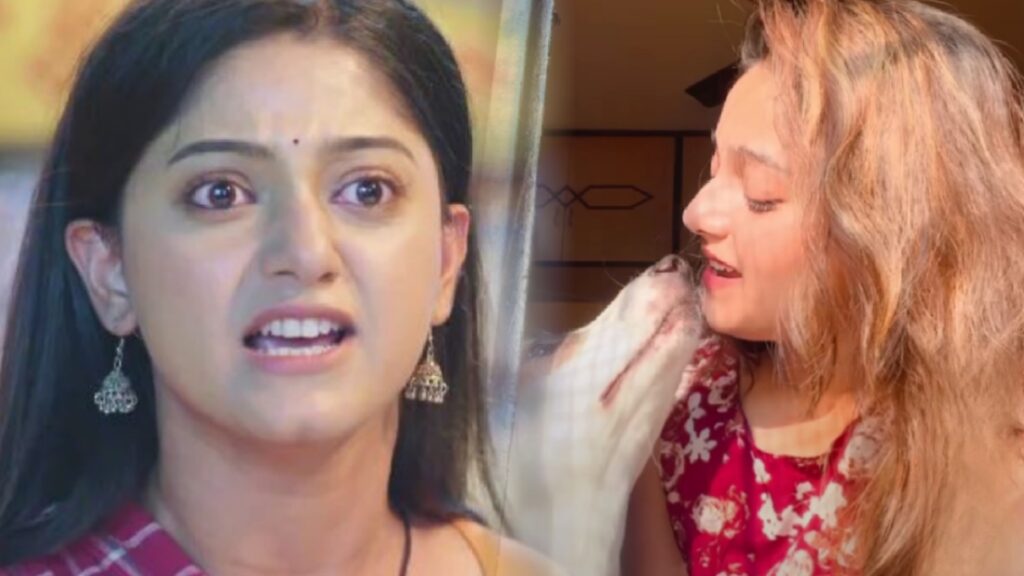 Bengali actress, dipanwita rakshit, Tollywood actress, Troll Dipanwita