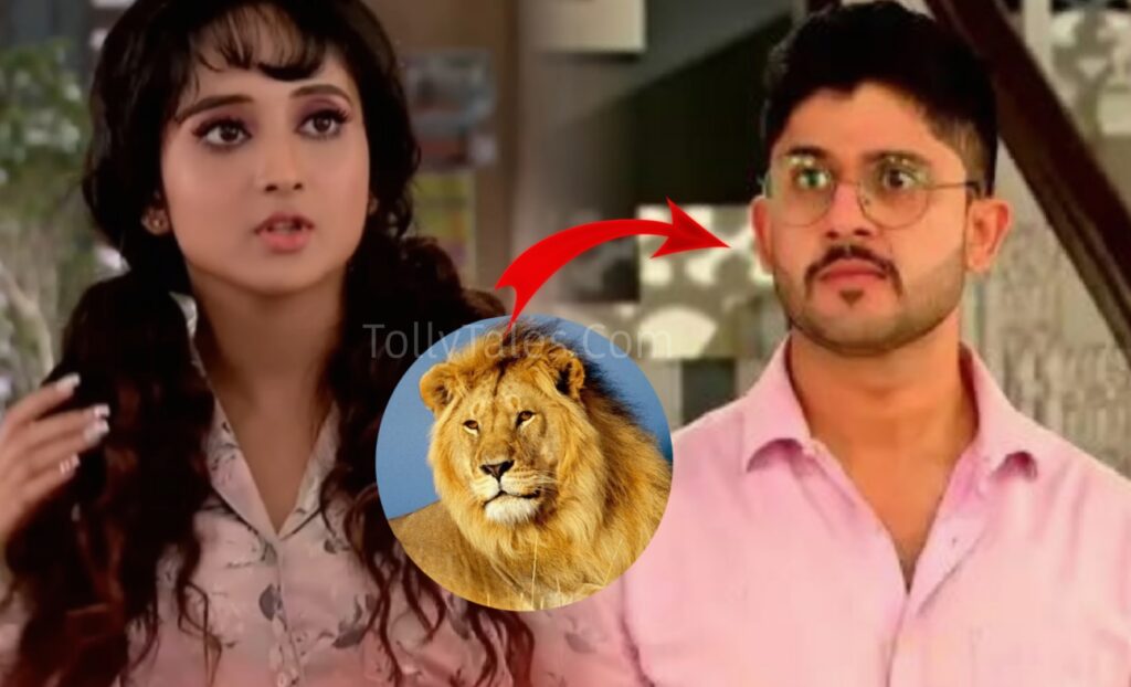 Bengali television, latest update, Mithai, mithi, Siddharth, Zee Bangla Mithi Sid