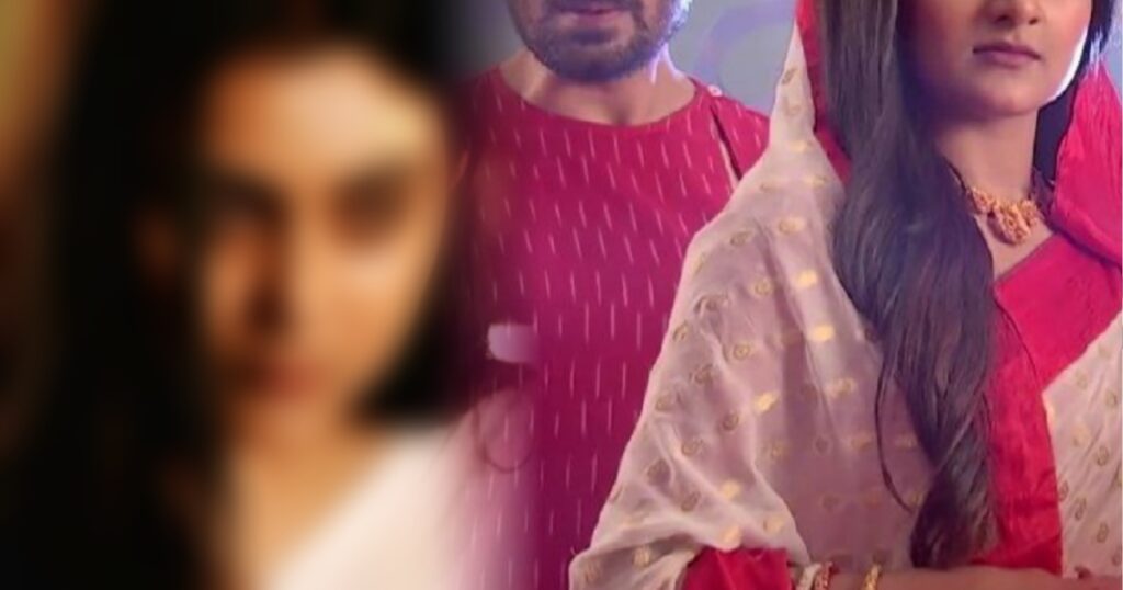 Bengali serial, last episode, Pilu, Zee Bangla Pilu Ahir