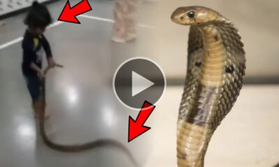 Viral