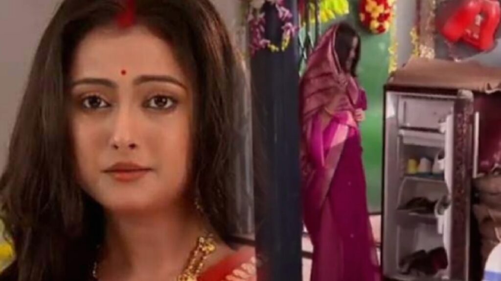 Bengali television, Neem fuler madhu, pallavi Sharma, Rubel Das, Zee Bangla nimfulermodhu