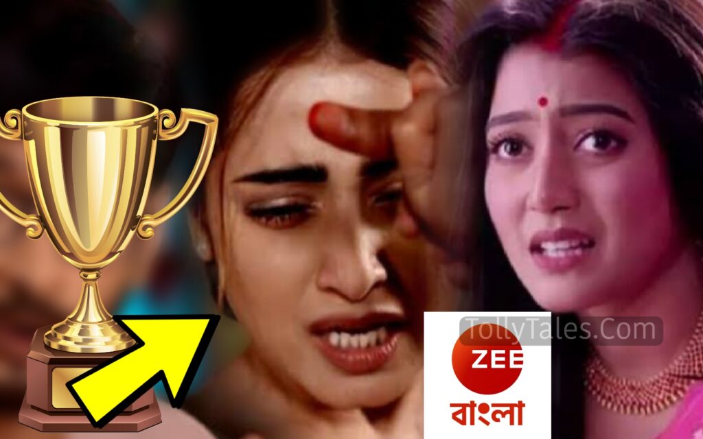 Bengali television, sohag jol, Zee Bangla Porokia Award