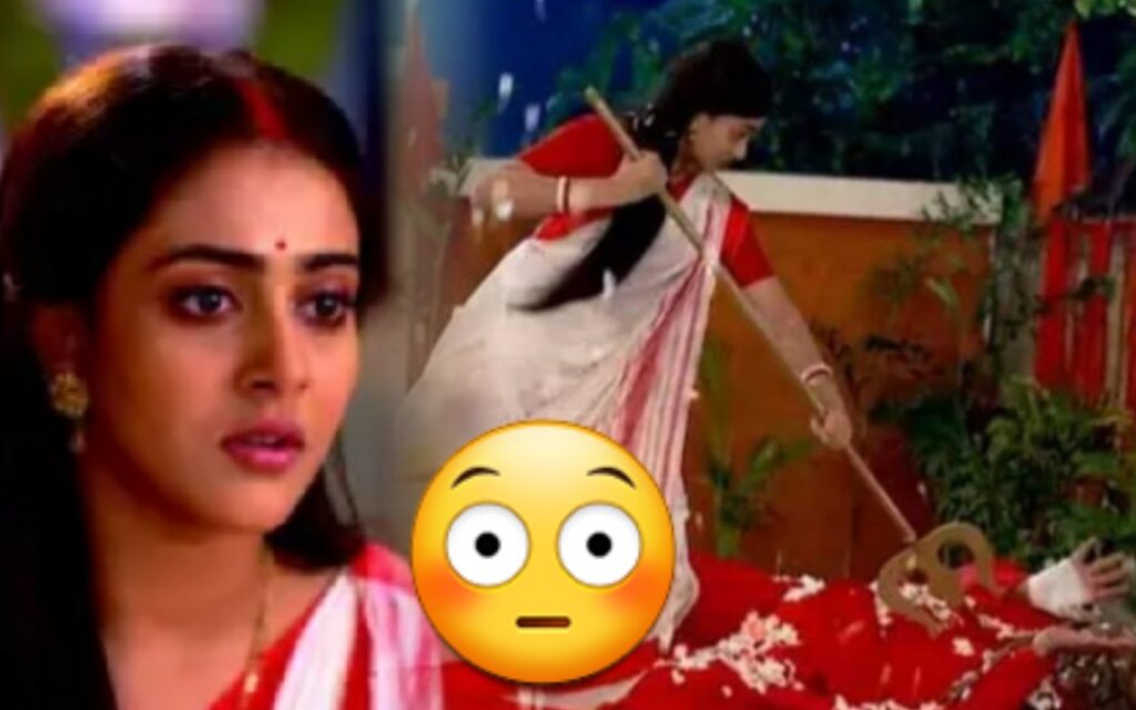 Gouri Elo, trolling, Zee Bangla gouri