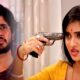 mithai, sid, zee bangla, মিঠাই, সিড, জি বাংলা