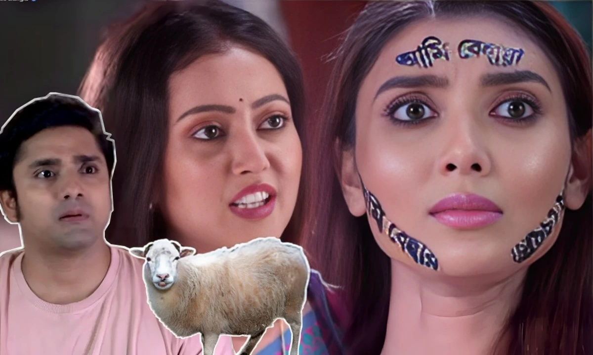 neem phuler modhu troll