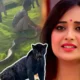 soumitrisha north bengal shooting incident