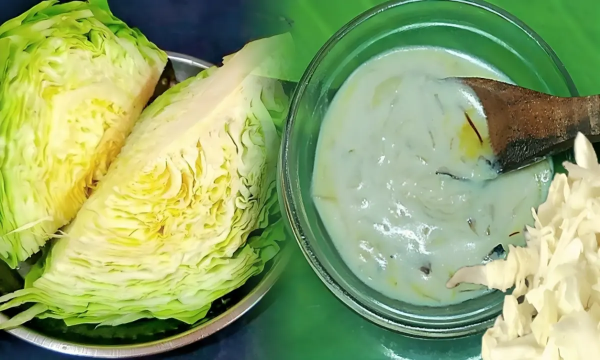 রেসিপি, বাংলা রেসিপি, বাঁধাকপি, Recipe, Bengali Recipe, cabbage