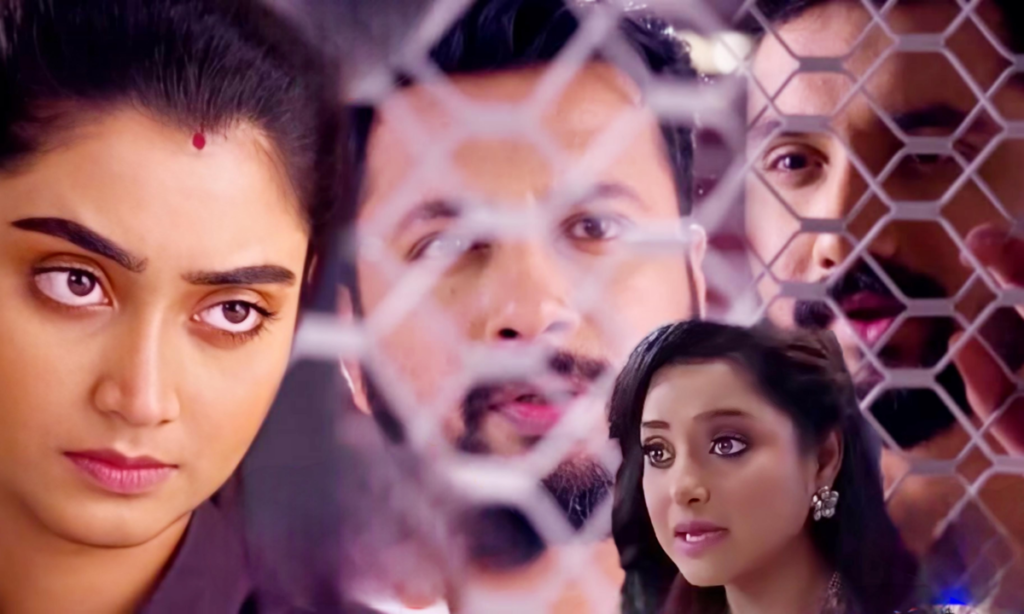 Jagadhatri Zeebangla