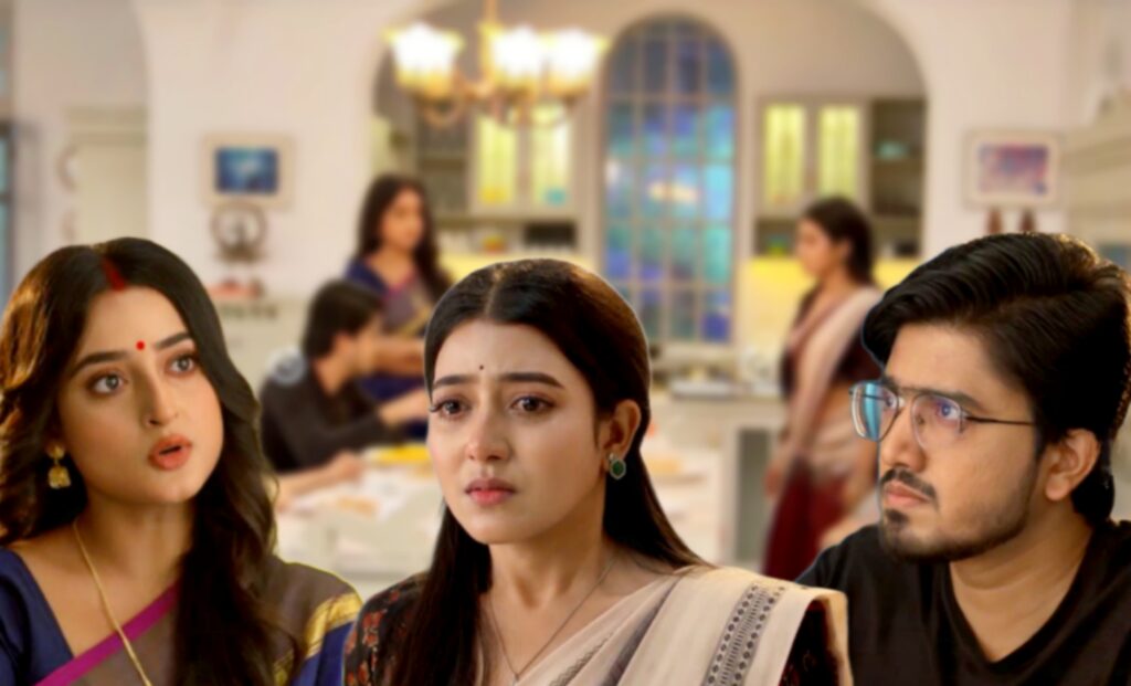 Bengali serial, mithijhora, Zee Bangla, জি বাংলা, বাংলা সিরিয়াল, মিঠিঝোরা nilu rai