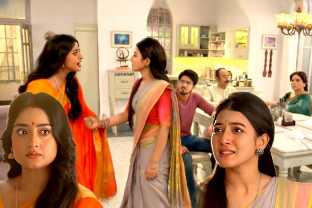 Bengali serial, mithijhora, Zee Bangla, জি বাংলা, বাংলা সিরিয়াল, মিঠিঝোরা rai nilu zeebangla