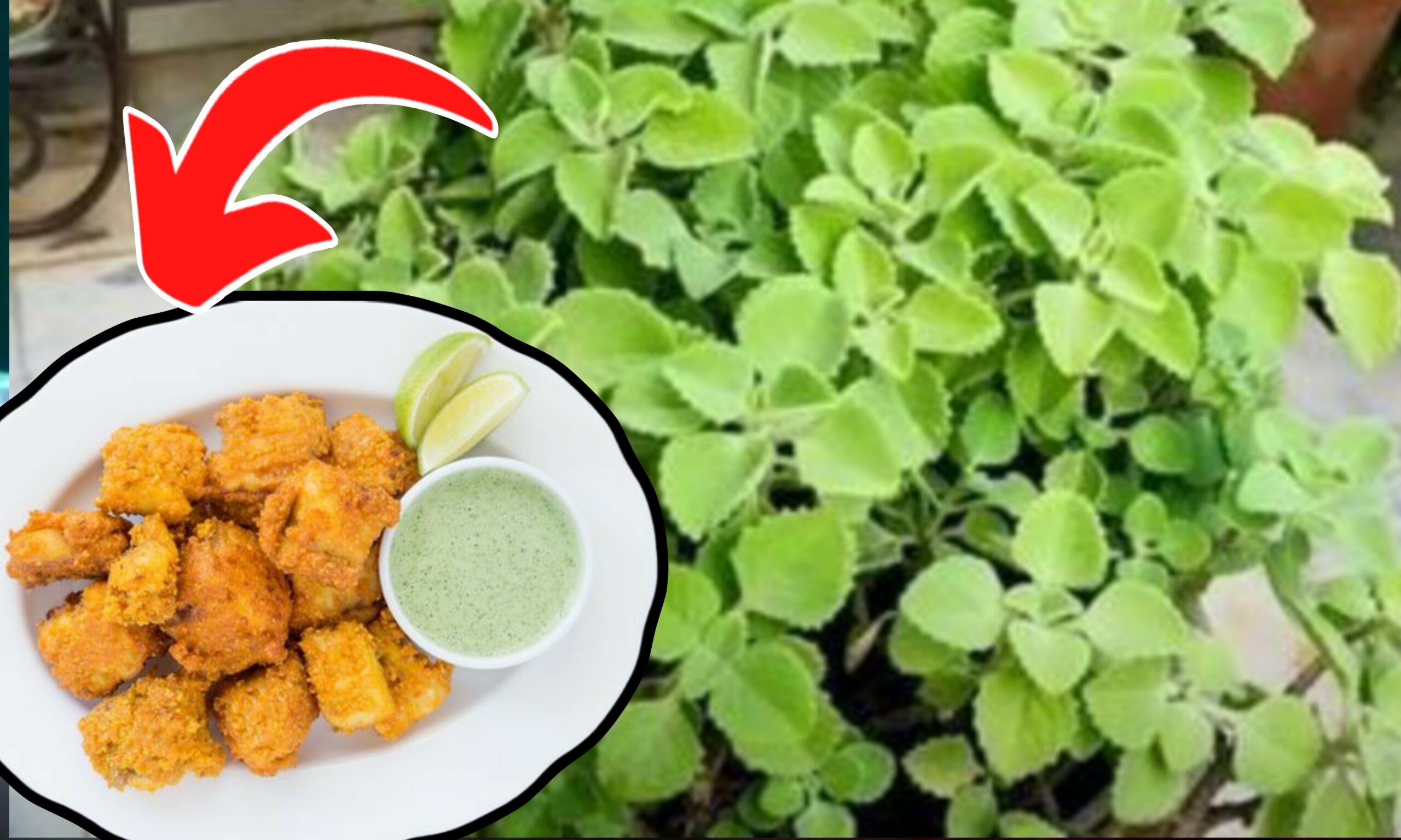 রেসিপি, বাংলা রেসিপি, Recipe, Bengali Recipe