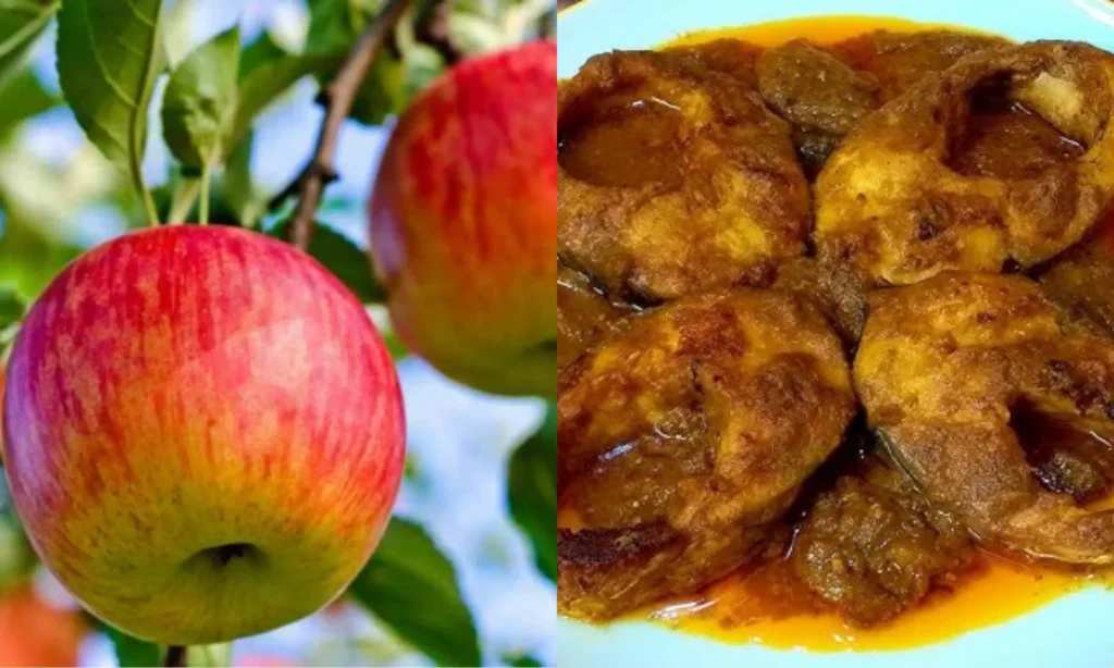 Recipe, bengali recipe, fish, আমিষ রেসিপি, বাংলা রেসিপি, মাছ, রেসিপি রেসিপি, বাংলা রেসিপি, মাছ, আমিষ রেসিপি, recipe, Bengali recipe, fish, non veg recipe