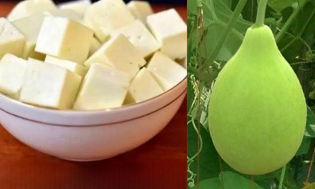 bengali recipe, paneer, Recipe, পনির, বাংলা রেসিপি, রেসিপি Lau Panir