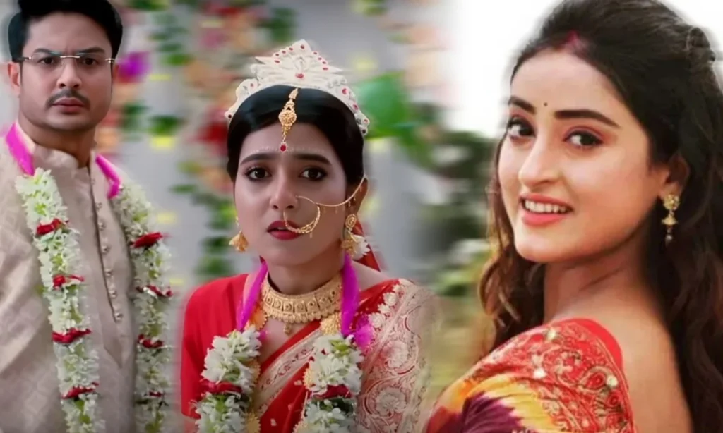 Bengali serial, mithijhora, Zee Bangla, জি বাংলা, বাংলা সিরিয়াল, মিঠিঝোরা Nilu win