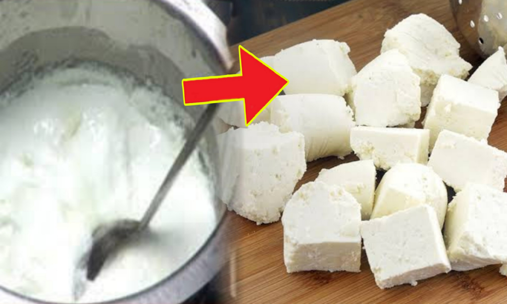 paneer recipe without milk