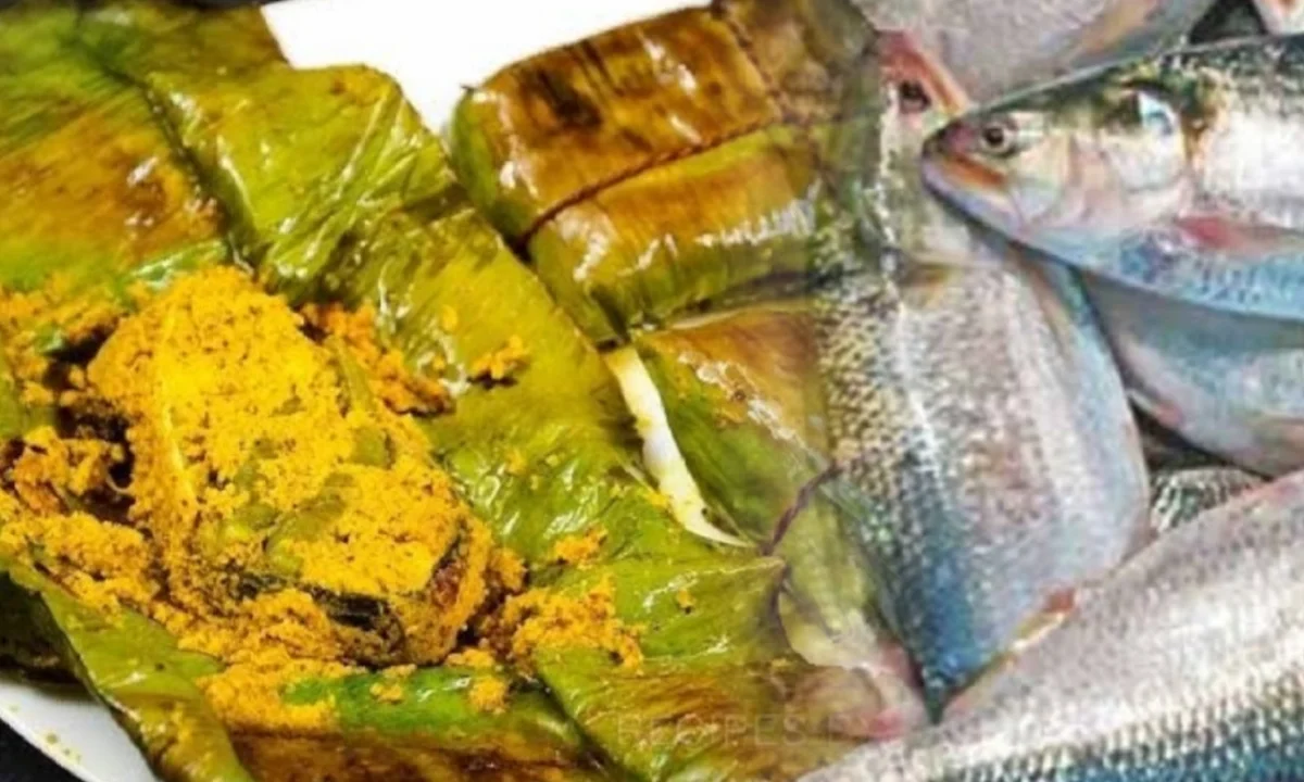 Ilish paturi, hilsha paturi