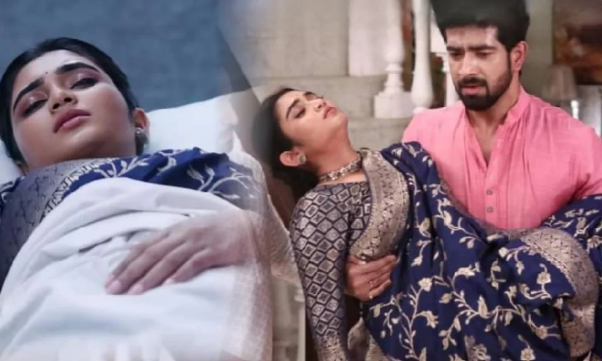 Zee Bangla, Jagadhatri, Bengali Serial, Bengali Serial Update, Television, Entertainment, জি বাংলা, জগদ্ধাত্রী, বিনোদন, বিনোদনের খবর