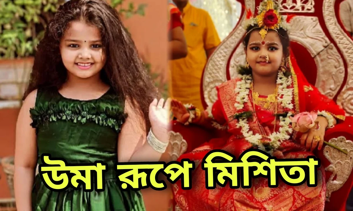 Misheeta Roy Chowdhury, Social Media, Television, Bengali Actress, ভাইরাল, মিশিতা রায় চৌধুরী, টেলিভিশন