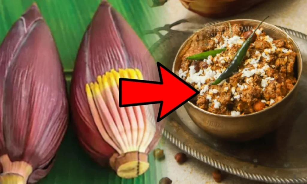 bengali recipe, Mochar Ghonto, Traditional Bengali Recipe, মোচার ঘন্ট, রেসিপি Mochar Ghonto, Bengali Recipe, Traditional Bengali Recipe, মোচার ঘন্ট, রেসিপি