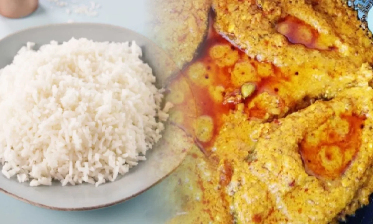 Vetki Maach, Bengali Cuisine, ভেটকি মাছের রেসিপি