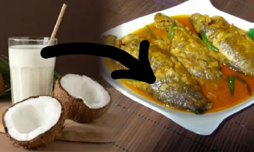 Recipe, Bengali food, Bengali Food Recipe, Food, Recipe Update, নারকেল কই রেসিপি, বাঙালি খাবার, রেসিপি আপডেট Bengali Food, Bengali Food Recipe, Recipe Update, Food, Recipe, বাঙালি খাবার, নারকেল কই রেসিপি, রেসিপি আপডেট,