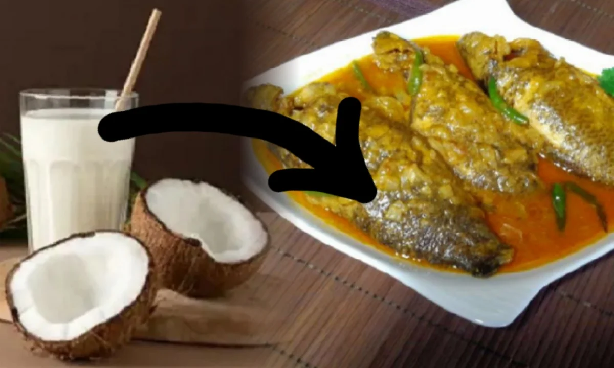 Bengali Food, Bengali Food Recipe, Recipe Update, Food, Recipe, বাঙালি খাবার, নারকেল কই রেসিপি, রেসিপি আপডেট,