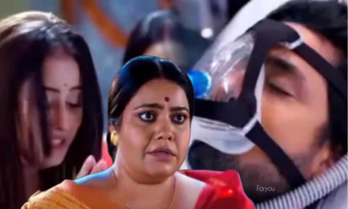 নিম ফুলের মধু আজকের পর্ব ১৯ নভেম্বর,Neem Phooler Madhu today episode 19 November,Bengali actress, Bengali serial, Zee Bangla, Zee Bangla serial