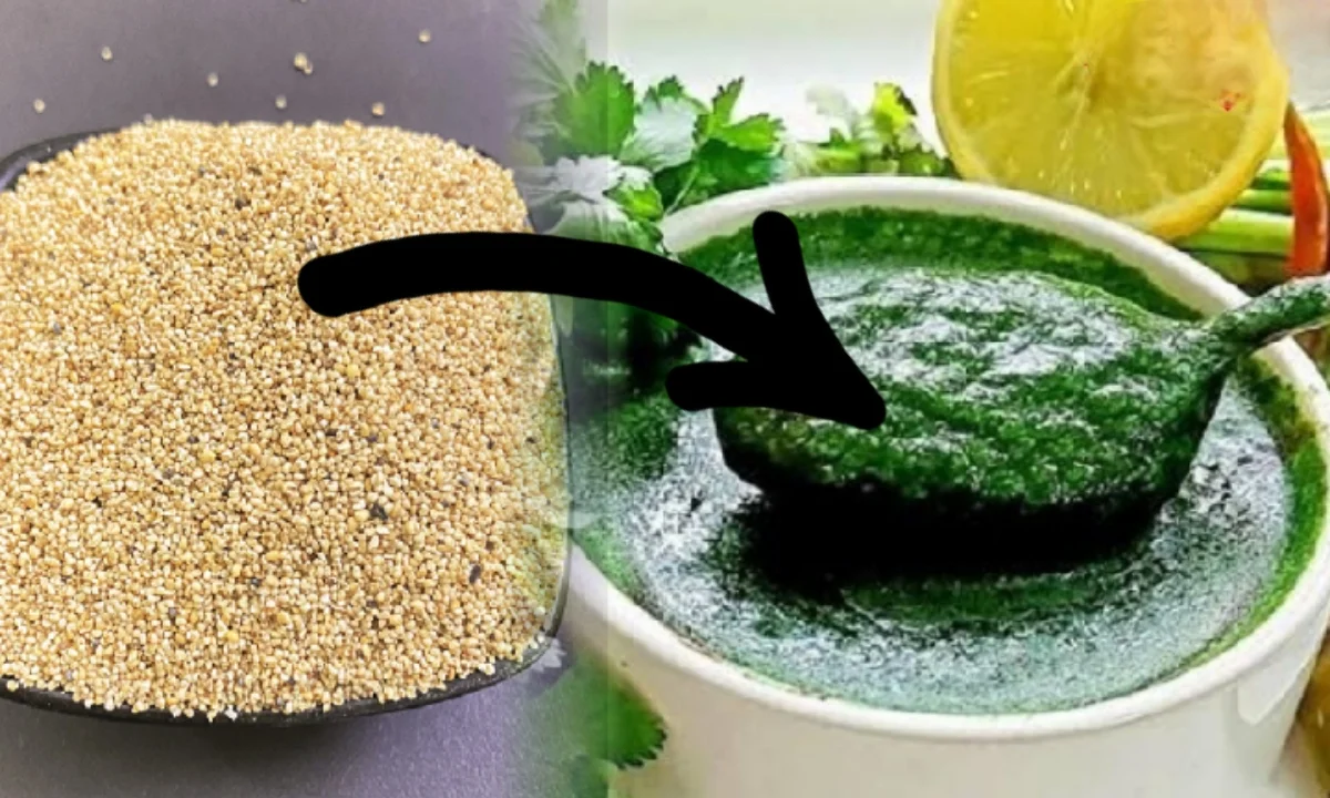 Dhonepata Posto Bata, Dhonepata Posto Bata Recipe, How to make Dhonepata Posto, Dhonepata, ধনেপাতা রেসিপি, রেসিপি, ধনেপাতা, ধনেপাতা পোস্তবাটা