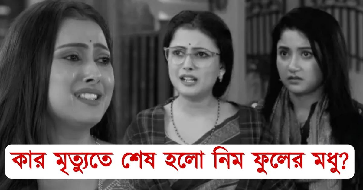 Neem Phooler Madhu, Zee Bangla, Ending, Bengali Serial, নিম ফুলের মধু, জি বাংলা, পর্ণা-সৃজন, বাংলা সিরিয়াল, অন্তিম পর্ব