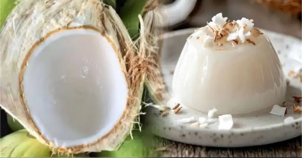 Coconut Pudding, Tender Coconut Dessert, Summer Dessert Recipe, Easy Pudding Recipe, Pudding, Homemade Dessert, Refreshing Sweets, ডাবের পুডিং, গরমের ডেজার্ট, সহজ রেসিপি, নারকেলের মিষ্টি, পুডিং, ঘরোয়া মিষ্টি, ঠান্ডা খাবার